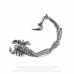 Scorpion Earwrap