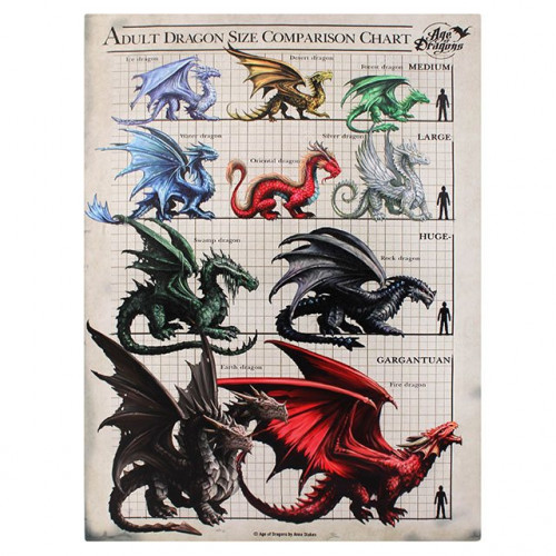 Adult Dragon Size Comparison Chart Canvas Plaque (Small)
