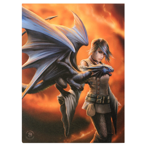 Dragon Trainer Canvas Plaque (Small)