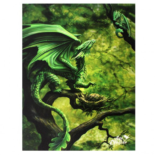 Forest Dragon Canvas Plaque (Small)