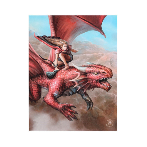 Sky Surfer Canvas Plaque (Small)