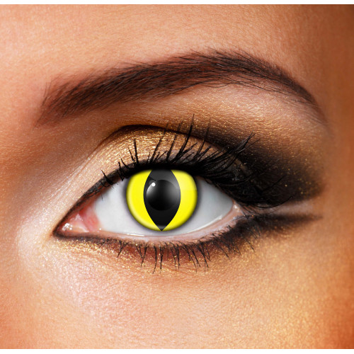 Yellow Cat - Daily Contact Lenses
