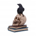 Raven's Spell (10.3cm)