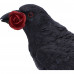 Rose of the Raven (14cm)