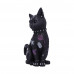 Bad to the Bone (22cm)
