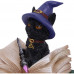 Binx (11cm)
