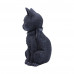 Malpuss (10cm)