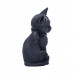 Malpuss (10cm)