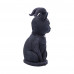 Pawzuph (11cm)