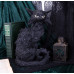 Salem (32.5cm)