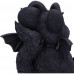 Marchillias (9.5cm)