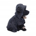 Reapers Canine (16cm)
