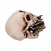 Bite the Bullet (15cm)
