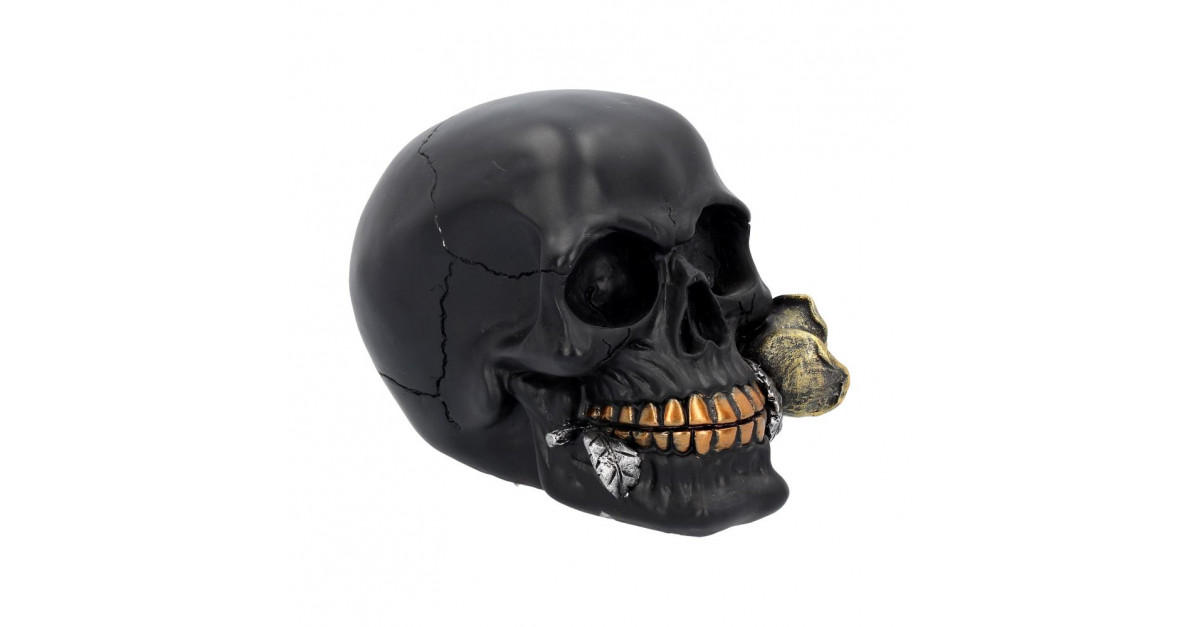 Nemesis Now S2794G6 Rose From The Dead Skull Figures Black for sale online 
