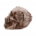 Breaking Out Skull (20cm)