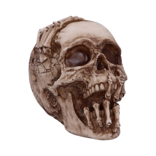 Breaking Out Skull (20cm)