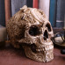 Cranial Drakos (19.5cm)