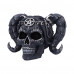 Drop Dead Gorgeous: Solve and Coagula (20.5cm)
