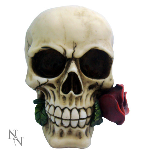 Rose From the Dead (15cm)