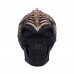 Spine Head Skull (18.5cm)