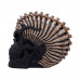 Spine Head Skull (18.5cm)