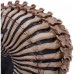 Spine Head Skull (18.5cm)