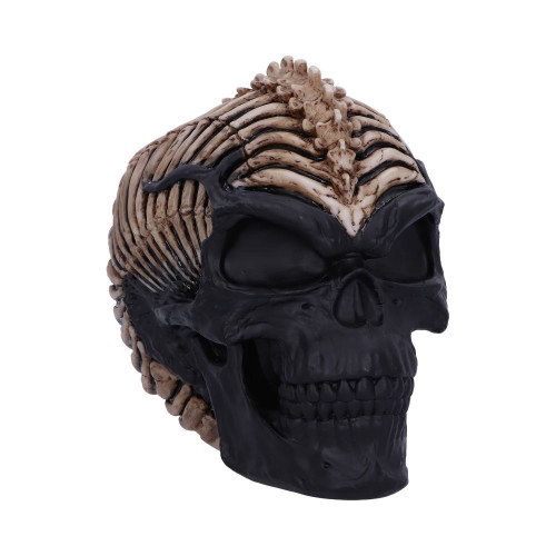 Spine Head Skull (18.5cm)