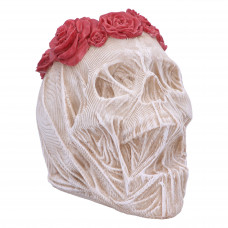 The Veil (14.7cm)