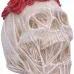 The Veil (14.7cm)