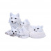 Pups Protection (20.5cm)