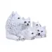 Pups Protection (20.5cm)