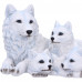 Pups Protection (20.5cm)