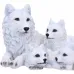Pups Protection (20.5cm)