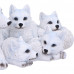 Pups Protection (20.5cm)