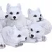 Pups Protection (20.5cm)