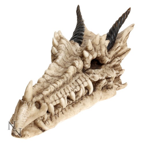 Draco Skull Incense Holder (24cm)