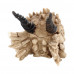 Dragon Skull Box (20cm)