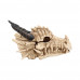 Dragon Skull Box (20cm)