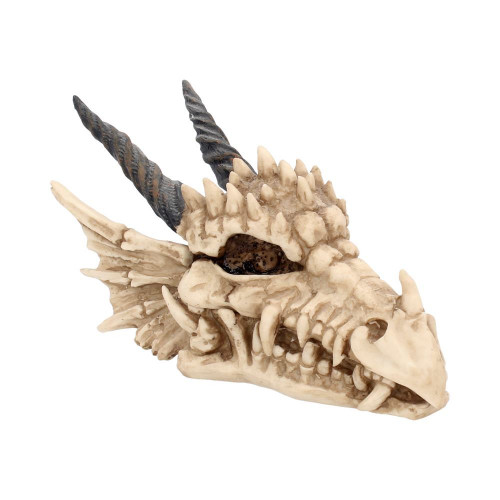 Dragon Skull Box (20cm)