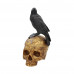 Salems Familiar (27cm)
