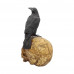 Salems Familiar (27cm)