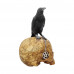 Salems Familiar (27cm)