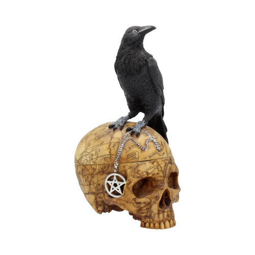 Salems Familiar (27cm)
