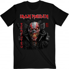 Iron Maiden: Senjutsu Black Cover (Vertical Logo)