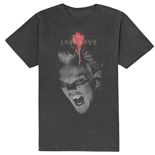 The Lost Boys: David Graphic