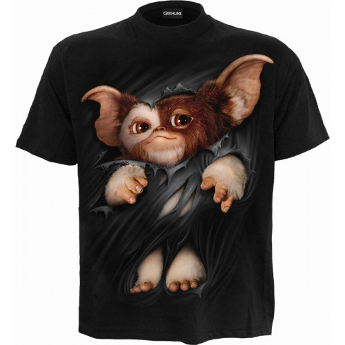 Gremlins: Gizmo